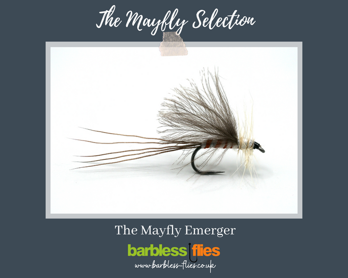 Mayfly (Full Lifecycle) Selection - Updated for 2026