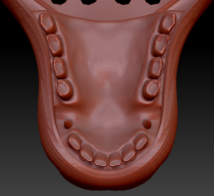 Medium Horse Jawset Realistic Style 2