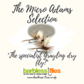 Micro Adams Selection