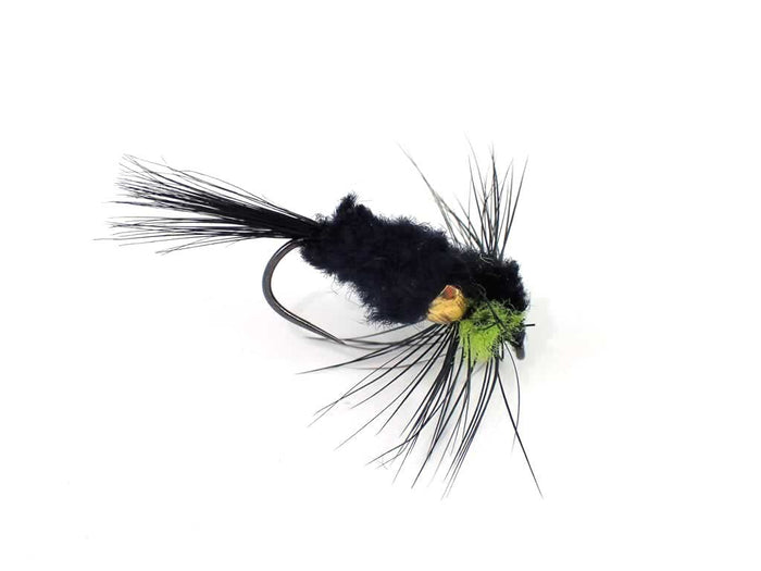 Montana Selection