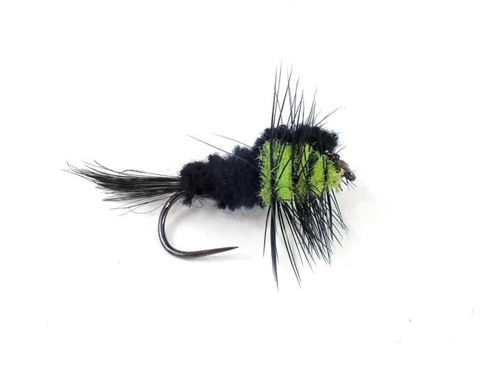 Montana Selection