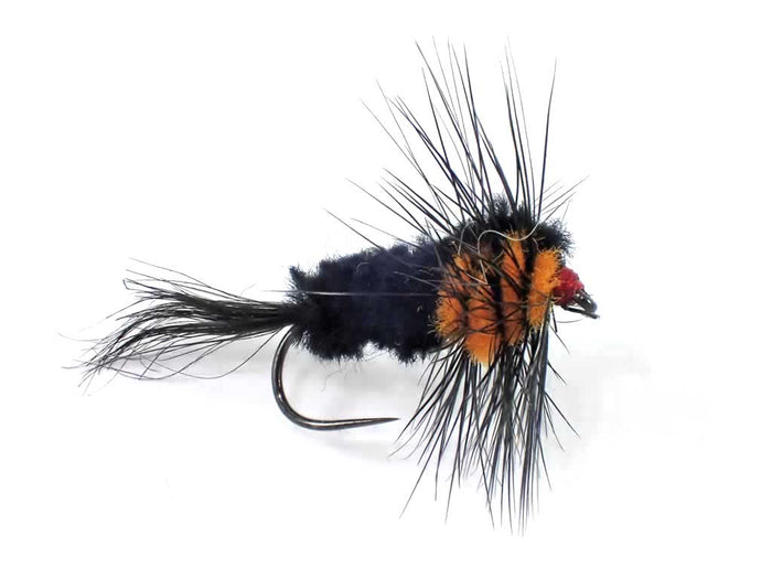 Montana Selection