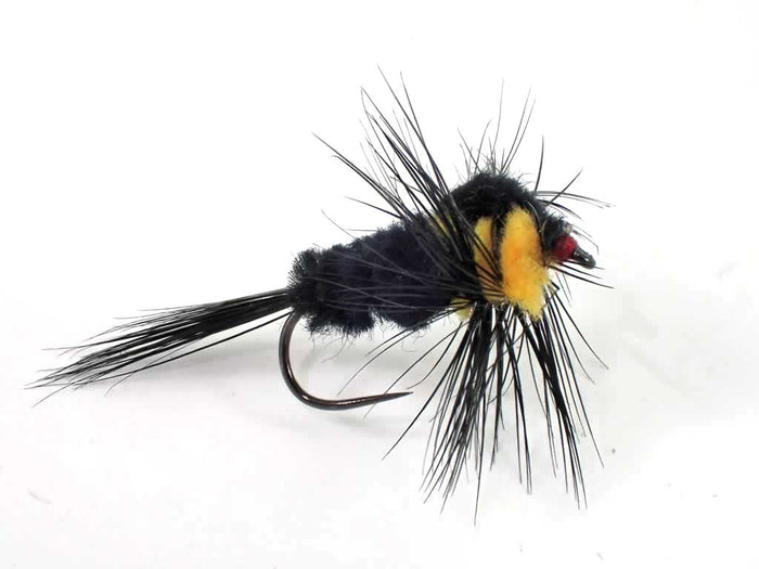 Montana Selection