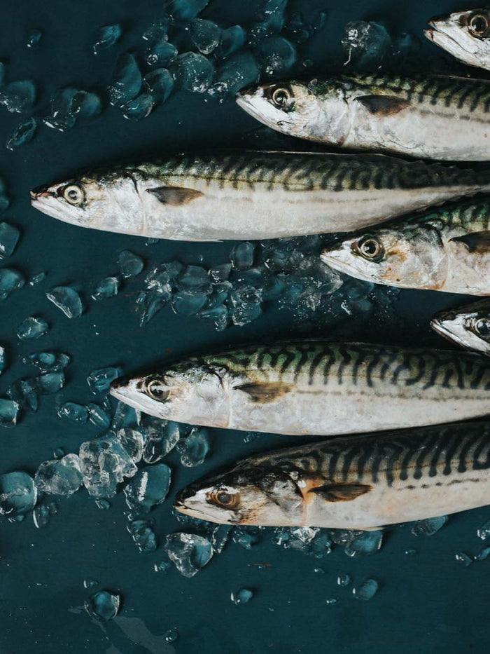 Peppered Smoked Mackerel Fillets