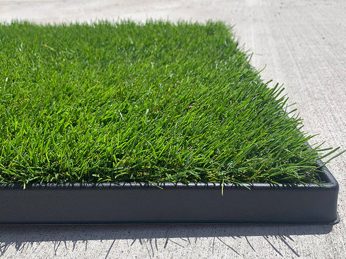 Close-up corner of a black XL indoor dog potty tray filled with green grass on concrete.