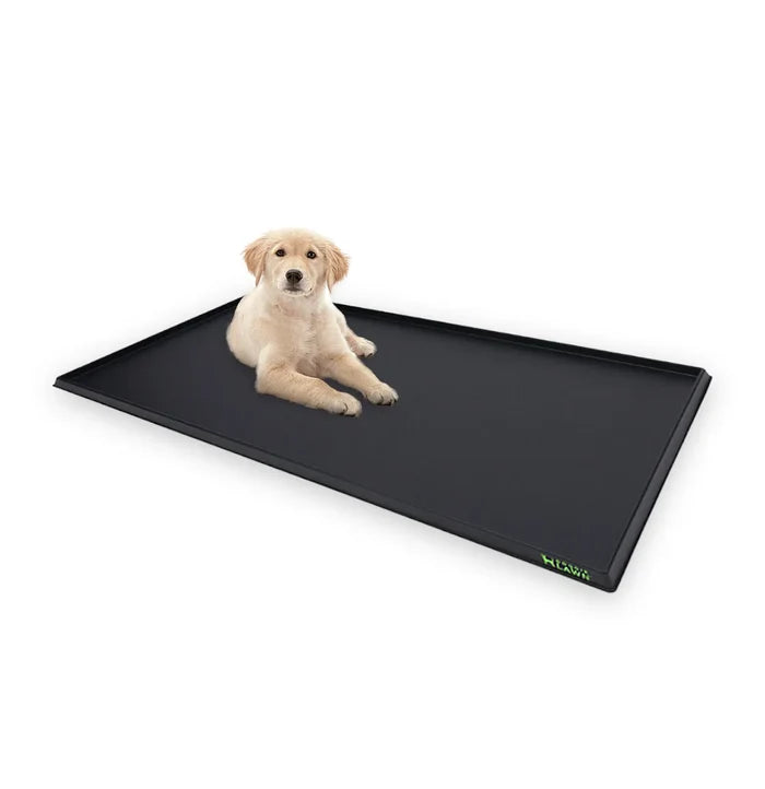 Golden retriever puppy sitting on a black DoggieLawn premium tray with raised edges against a white background.