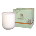 Roger's Gardens In The Gardens Candle