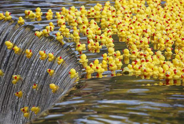 Rubber Duck Gel Fly Floatant
