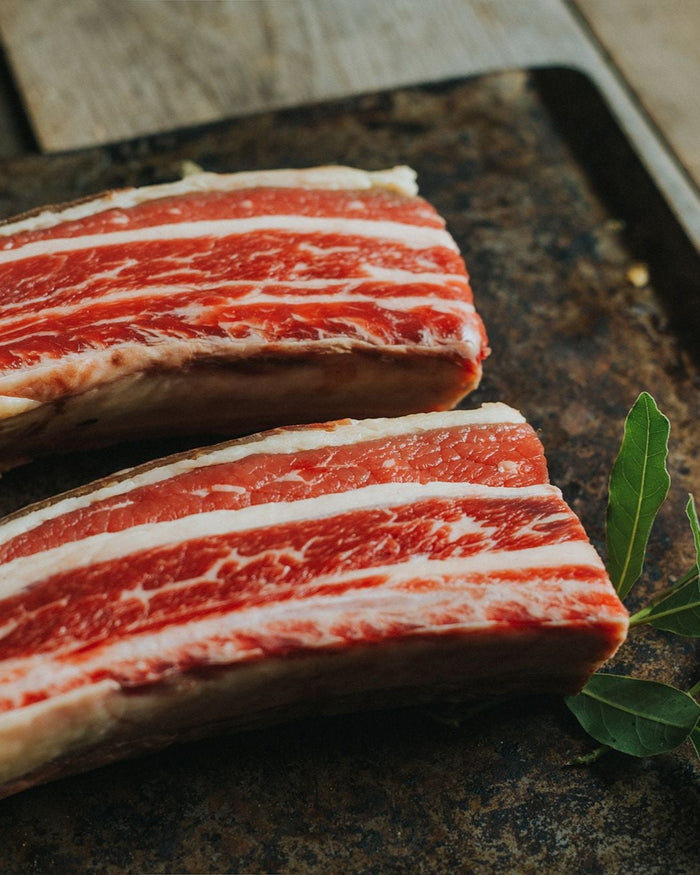 Short Rib of Beef
