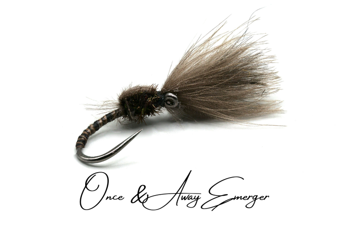 Shuttlecock CdC Emerger Selection (Updated for 2026)