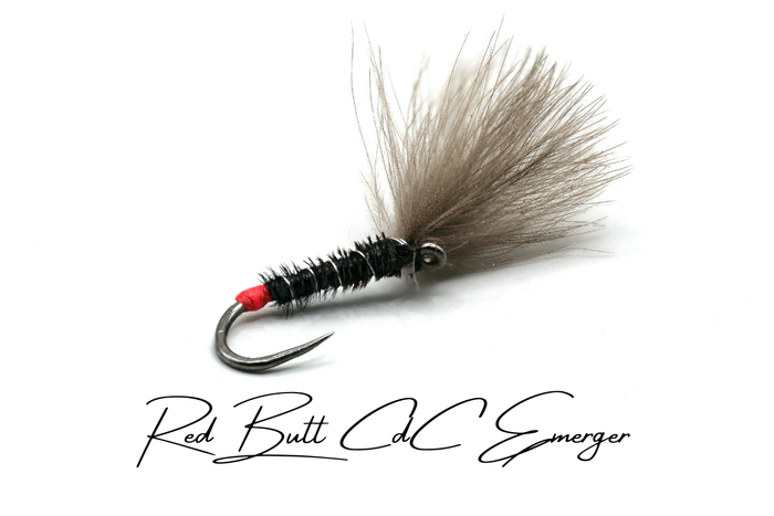 Shuttlecock CdC Emerger Selection (Updated for 2026)