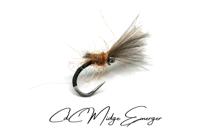 Shuttlecock CdC Emerger Selection (Updated for 2026)