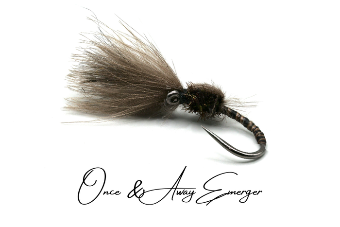 Shuttlecock CdC Emerger Selection (Updated for 2026)
