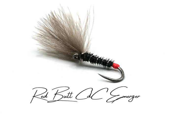 Shuttlecock CdC Emerger Selection (Updated for 2026)
