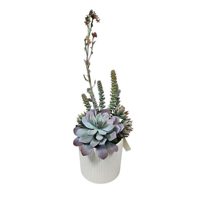 Silk Succulent Blooms in White Pot