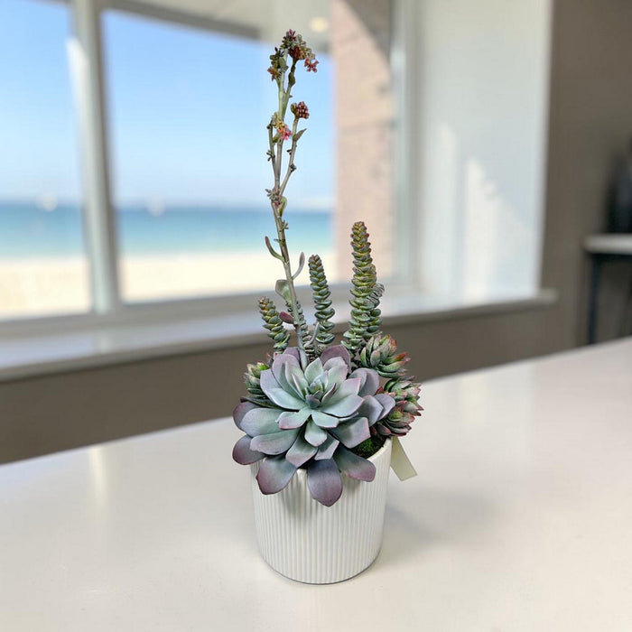 Silk Succulent Blooms in White Pot