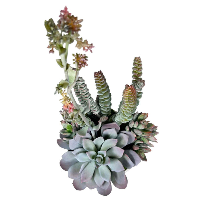 Silk Succulent Blooms in White Pot