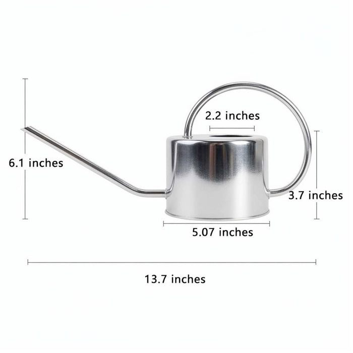 Silver Watering Can - 40oz