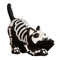 Skeleton Paper Mache Cat - 9.5" Tall from the 2026 Moonlight Masquerade Halloween collection at Roger's Gardens