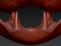 Small Sergal Jawset