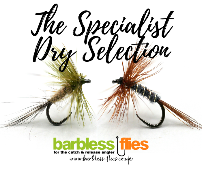 Specialist Dry Selection - Updated for 2026
