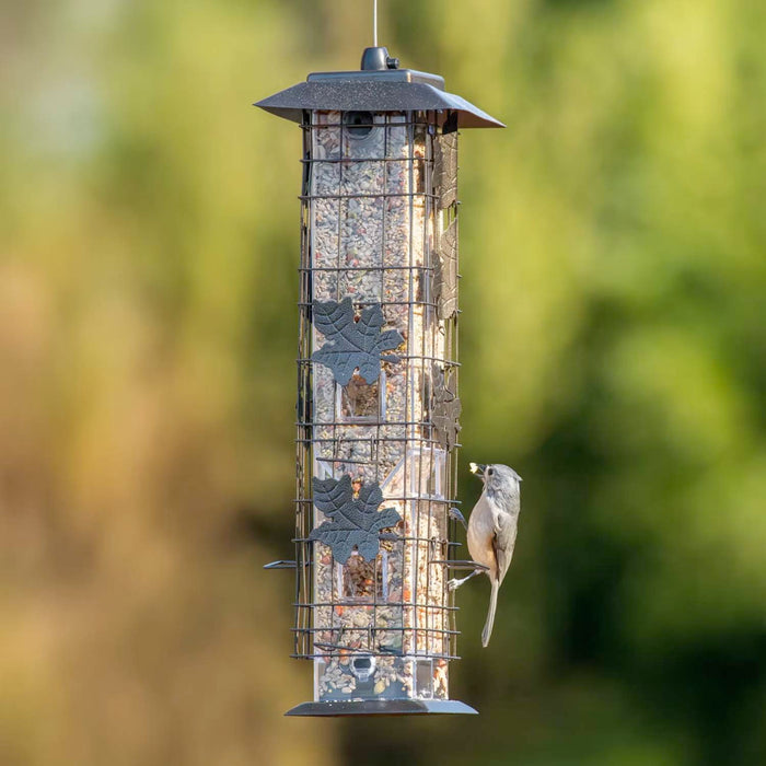 Squirrel Be Gone Bird Feeder