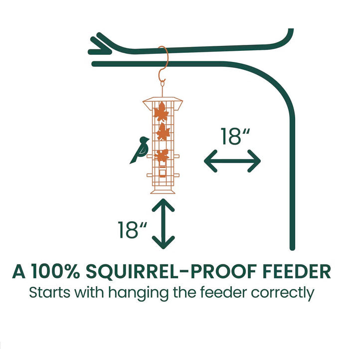 Squirrel Be Gone Bird Feeder
