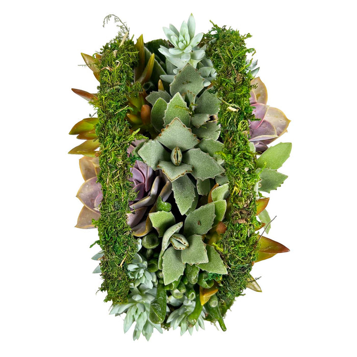 Succulents in Large Moss Purse Arrangement