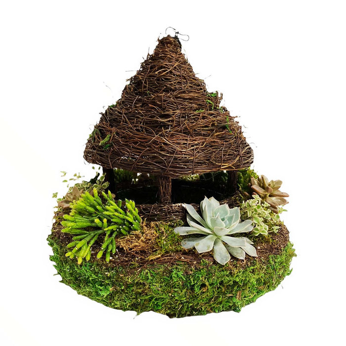Succulents in Moss Gazebo - Roger's Gardens