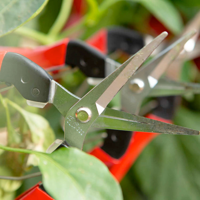 Swiss Made Felco 322 Snips