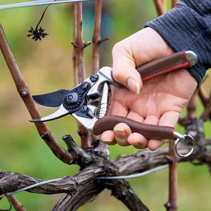 Swiss Made Felco #6 Elite Shears