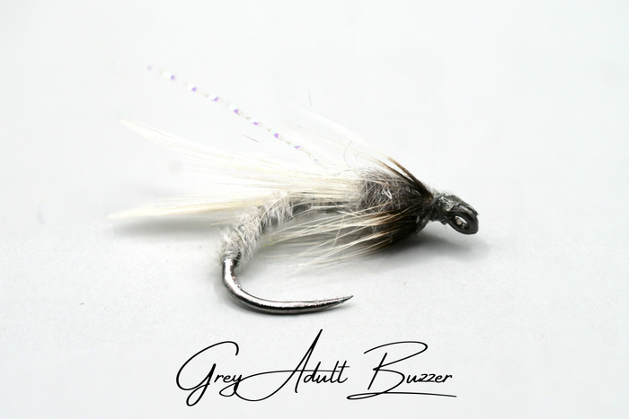 The Adult & Emerging Buzzer Selection