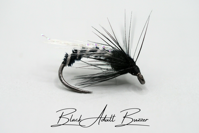 The Adult & Emerging Buzzer Selection
