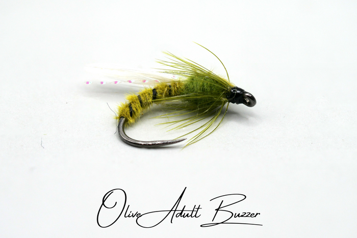 The Adult & Emerging Buzzer Selection