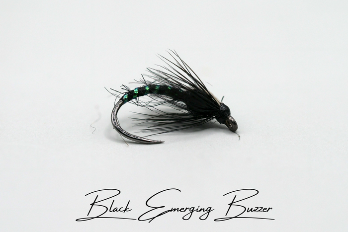 The Adult & Emerging Buzzer Selection