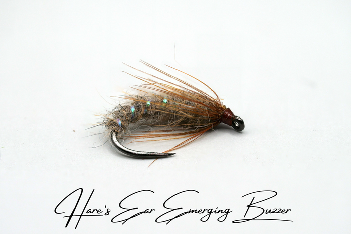 The Adult & Emerging Buzzer Selection