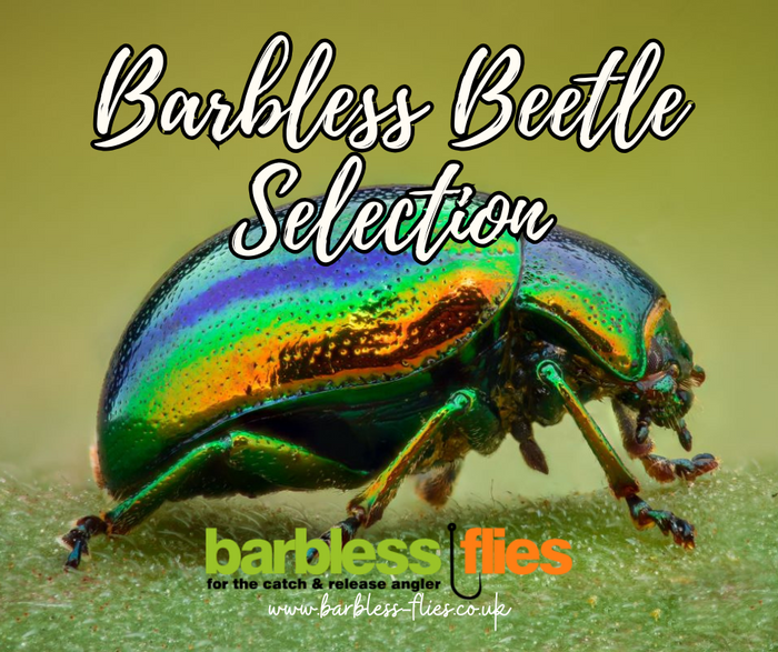 The Barbless Beetle Selection