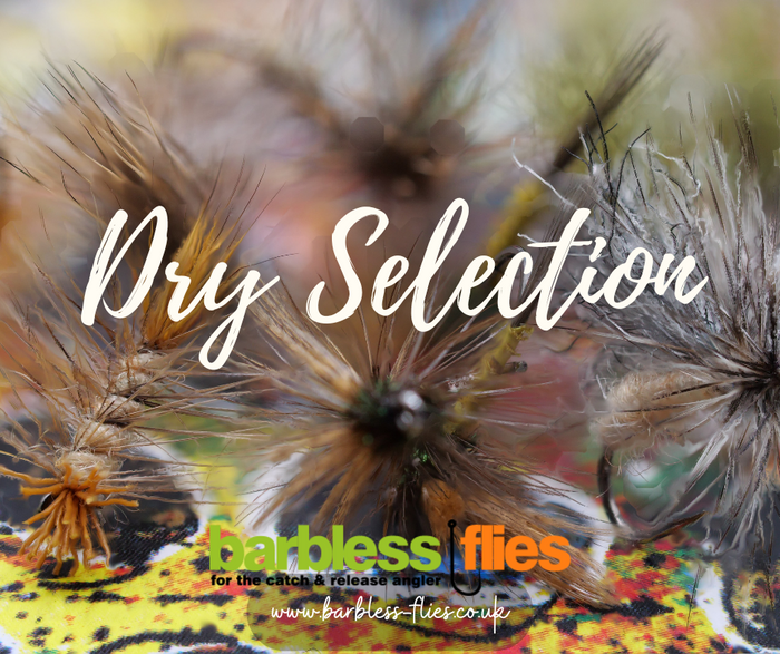 The Dry Selection - NEW for 2025