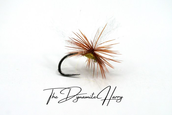 The Dynamite Harry Selection