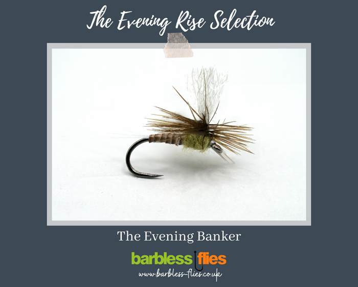 The Evening Rise Selection - NEW for 2025