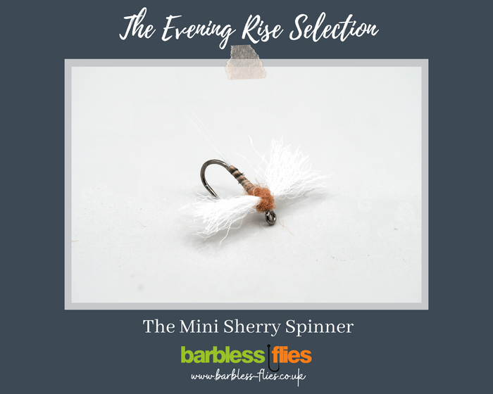 The Evening Rise Selection - NEW for 2025