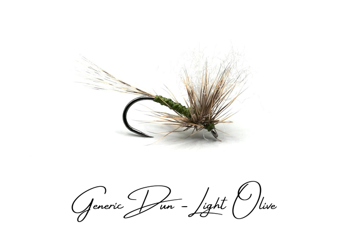 The Generic Dun Selection