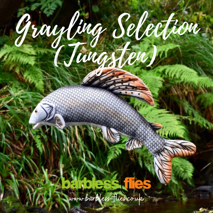 The Grayling Selection (Tungsten) - Updated for 2025/26