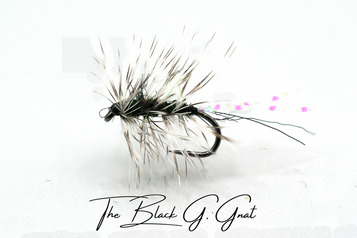 The Griffith's Gnat Selection