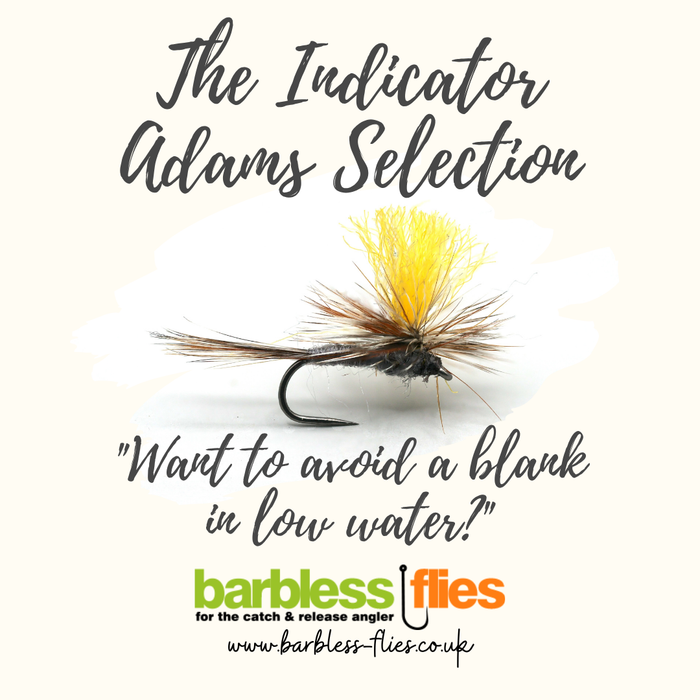 The Indicator Adams Selection