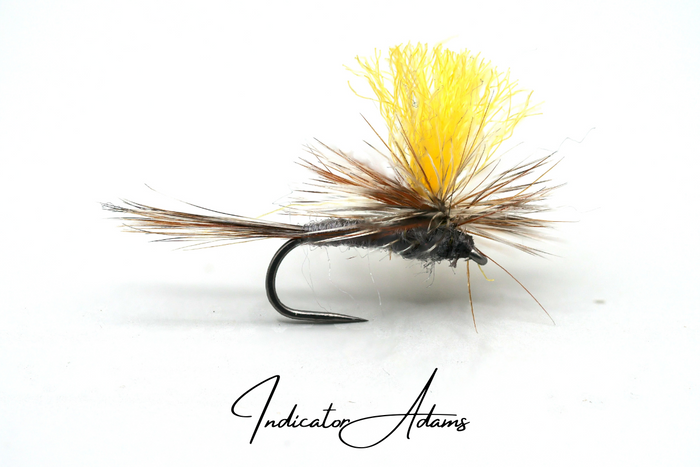 The Indicator Adams Selection