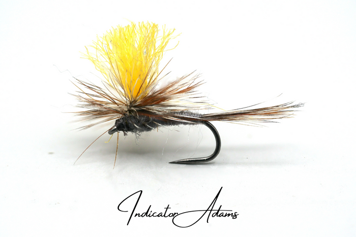 The Indicator Adams Selection
