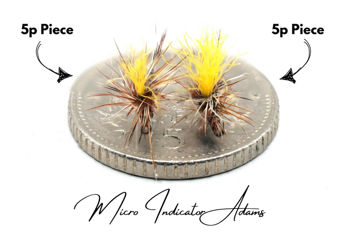 The Indicator Adams Selection