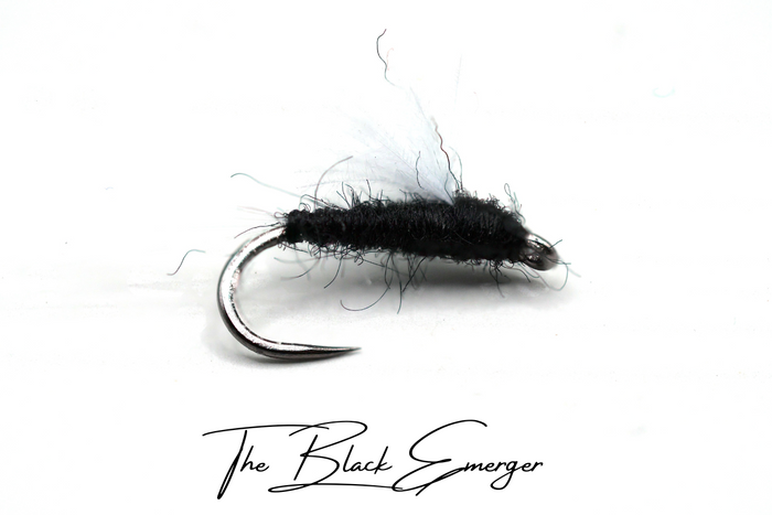 The "It's Just Black" Selection - NEW for 2025