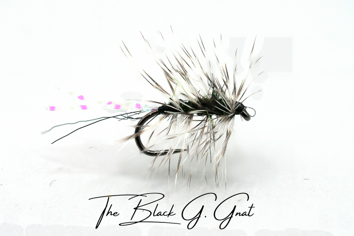 The "It's Just Black" Selection - NEW for 2025